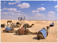 circuit désert tunisie